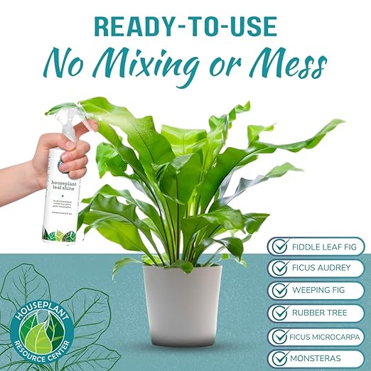 Houseplant Leaf Shine Spray – All-Natural Leaf Cleaner and Gloss for Healthy Shine & Better Photosynthesis | Perfect for House Plants and Foliage | 8 oz-VerdiqueGarden