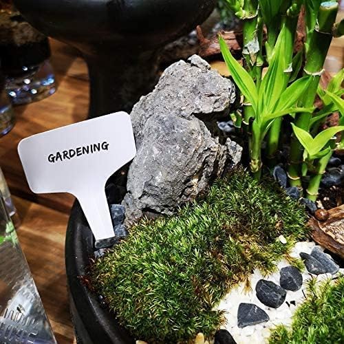 KINGLAKE 100 Pcs 6 x10cm Plastic Plant T-Type Tags Nursery Garden Labels-VerdiqueGarden