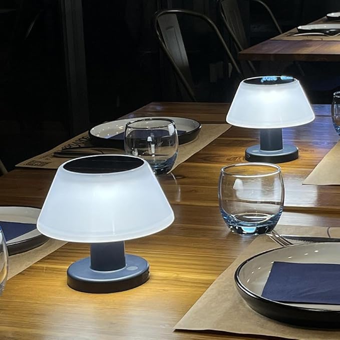Solar Table Lamp Rechargeable Cordless - 4 Modes USB/Solar Charging Indoor Outdoor, IP54 Waterproof, 4000K Neutral White Light for Living Room/Garden/Study/Patio-VerdiqueGarden