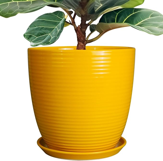 12 Inch Pots for Plants - Ceramic Planter for Indoor Plants Large Plant Pot with Drainage Hole and Saucer Round Outdoor Flower Pot for Garden Home Patio Office Yellow-VerdiqueGarden