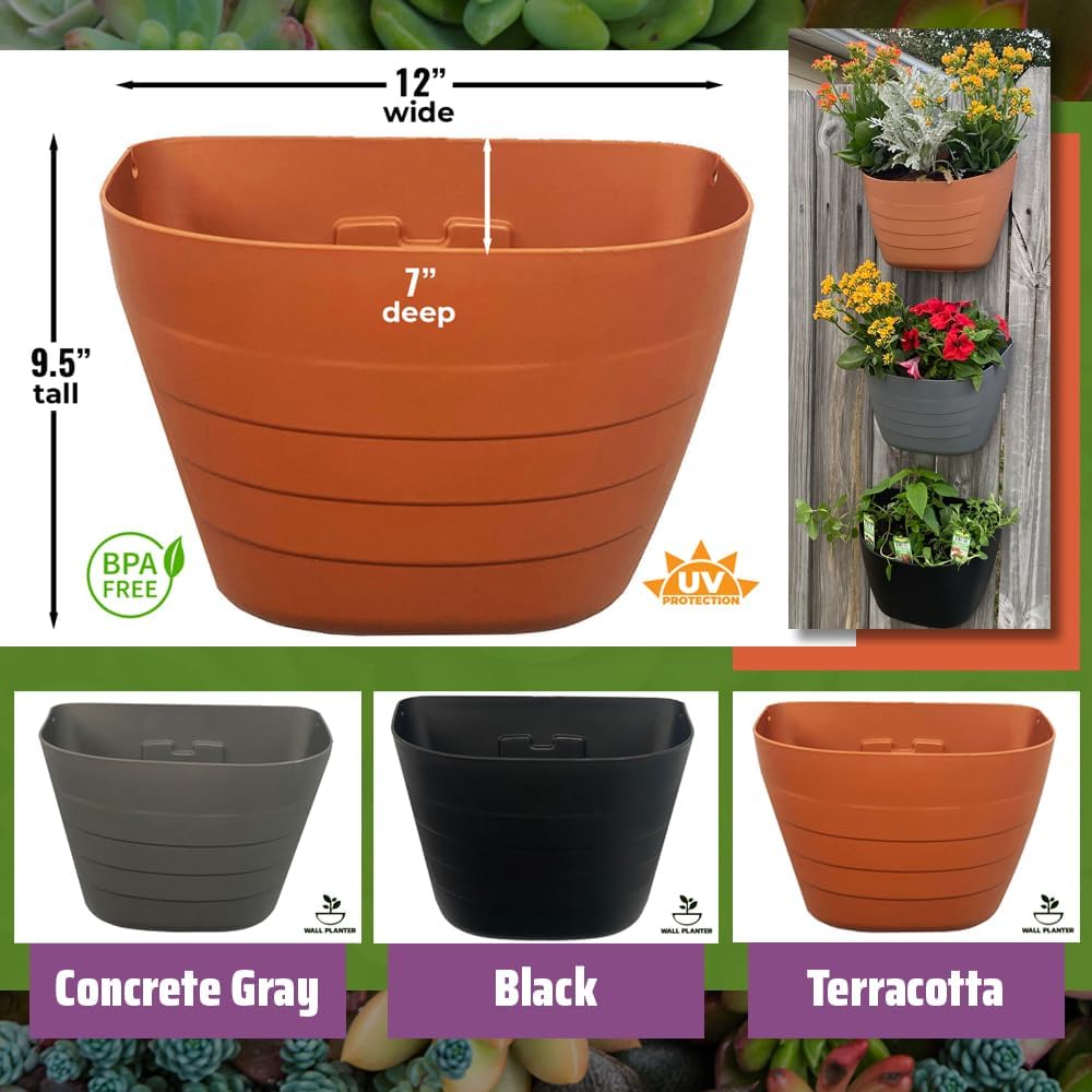 12 Inch Gray Wall Planter, Self-Watering Concrete Hanging Planter for Indoor & Outdoor Use, Large Wall Planter with Self-Watering Grid, Ideal for Flowers, Vegetables & Herbs, UV Resistant-VerdiqueGarden