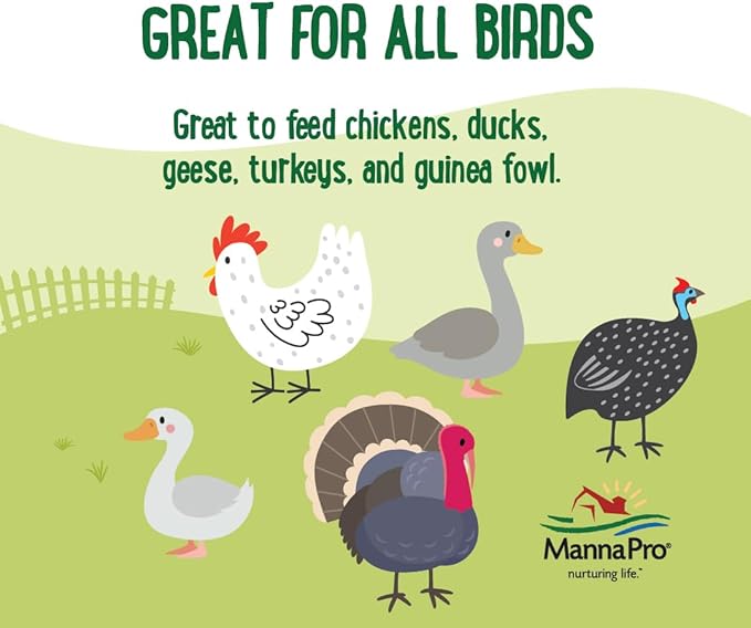Manna Pro Farmhouse Favorites Critter Combo Crunch Poultry Treat - Protein Poultry Treat - Encourages Natural Foraging Behavior - 100% Natural Blend of Soldier Fly Larvae, Mealworms & Shrimp - 2lb Bag-VerdiqueGarden