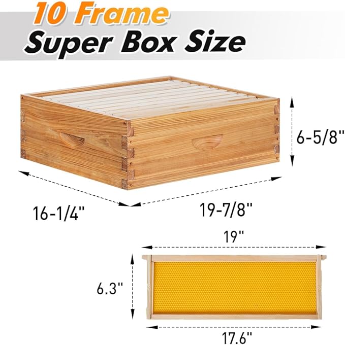 POLLIBEE 10 Frame Langstroth Beehive, Beeswax Coated Bee Hives for Bee Keeper,Beehive Include 2 Deep Bee Boxes and 1 Medium Bee Hive Box with Frame and Foundation(Unassembled)-VerdiqueGarden