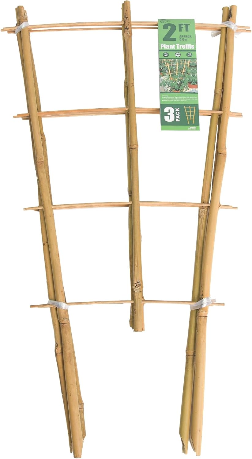 Bamboo Trellis 2FT 3 Pack, Plant Ladder Stakes 24 Inches, Natural Fan-Shaped Bamboo Trellis for Orchid Vines, Monarchs, Ivy and Other Plants Climbing, Help Plant Growth-VerdiqueGarden