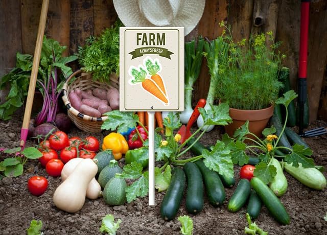 Eveokoki Aluminum Seed & Plant Labels - Plant Markes for Seedlings-Plant Tags for Pots - Garden Signs for Vegetable - Durable Markers for Plants Outdoor Waterproof - Garden Decor for Farmhouse-VerdiqueGarden