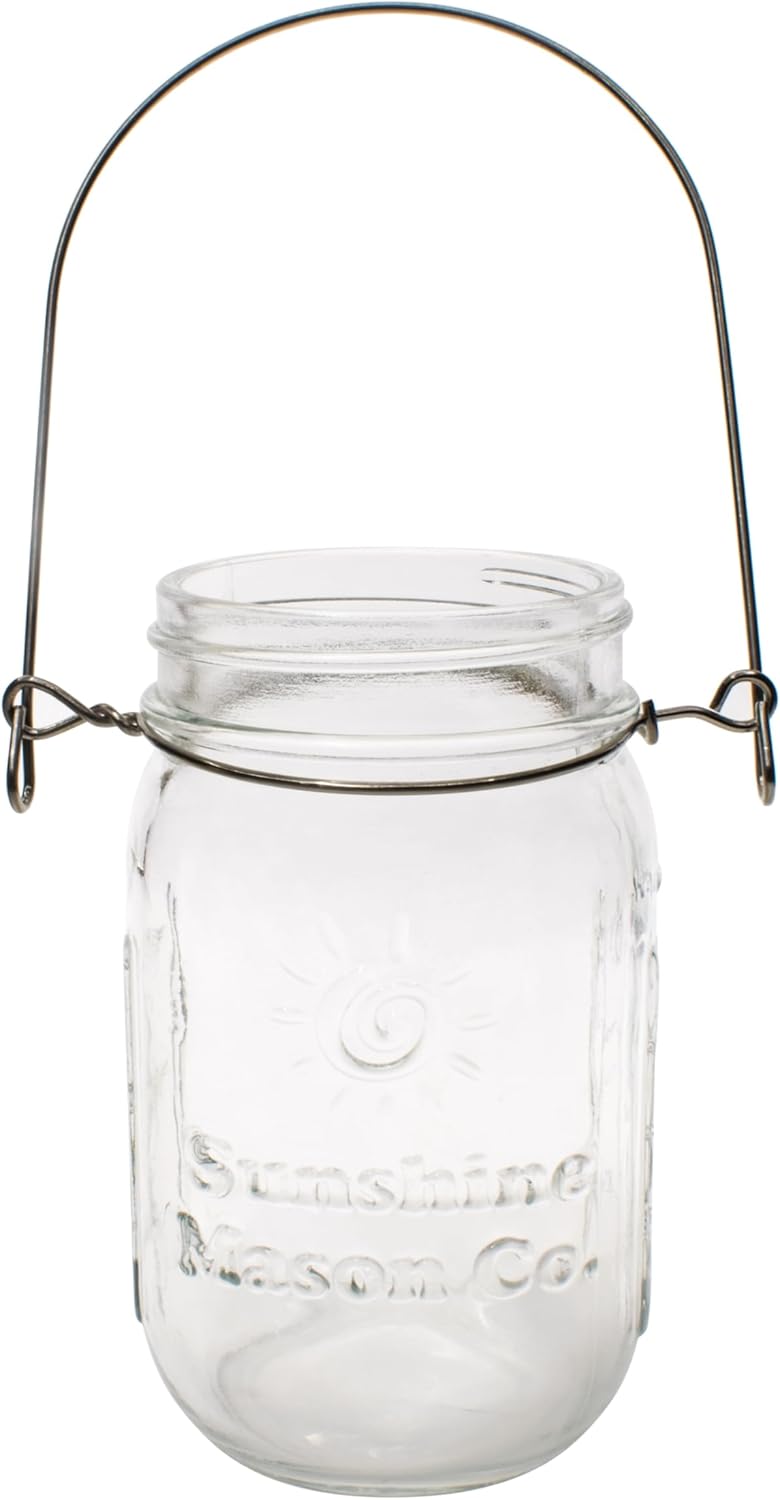 Pint Sized Glass Mason Jars with Hanger Handles (24)-VerdiqueGarden