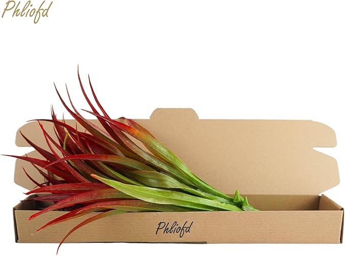 6Pcs Artificial Grass Fake Plants 17.3in Outdoor Plants UV Resistant Greenery Stems Fake Grass for Home Window Garden Office Patio Pathway Front Porch Christmas Décor Light Green & Red-VerdiqueGarden