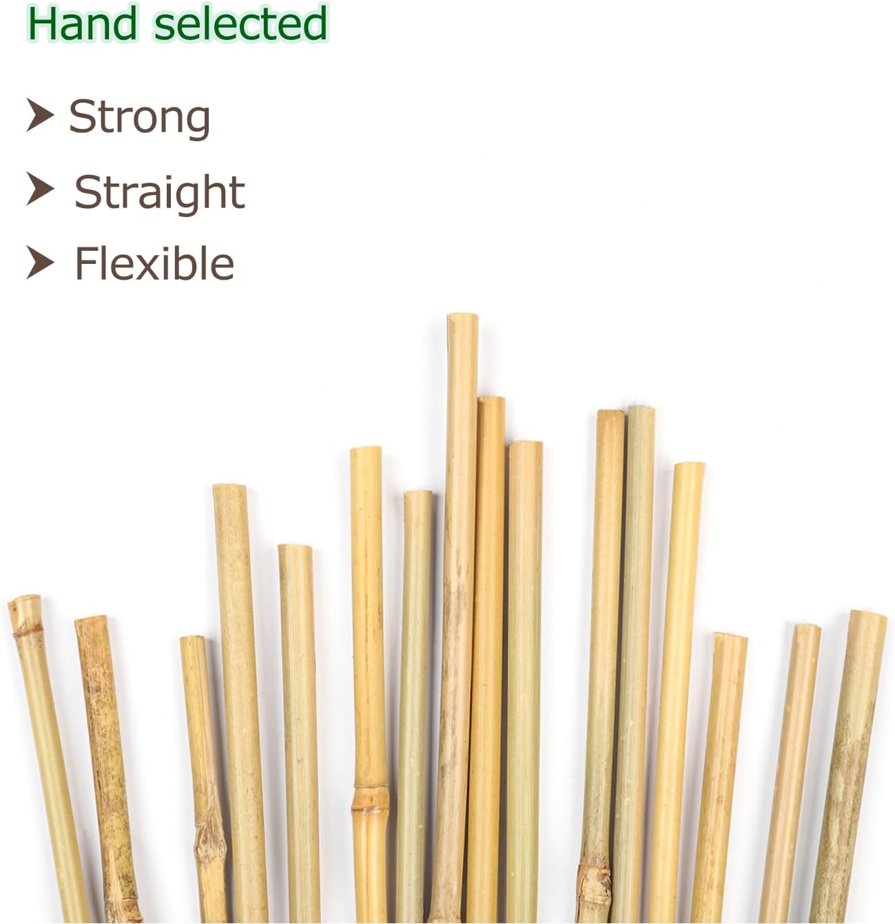 40pcs Natural Bamboo Sticks for Indoor and Outdoor Plants, 16 Inch Plant Support Stakes for Tomato, Beans, Potted Plants and Vegetable-VerdiqueGarden