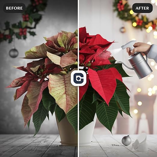 Poinsettia Plant Fertilizer - 3-1-2 NPK - Organic Liquid Plant Food for Christmas Flowers and Trees - 32oz Concentrate-VerdiqueGarden