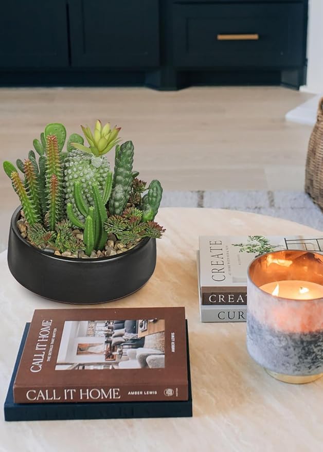 DILATATA Artificial Cactus Plants in Pot 5.5 Inch Fake Succulents Arrangement Potted Plant in Black Ceramic Planter Bowl for Home Office Desk Shelf Living Room Bedroom Bathroom Decor-VerdiqueGarden