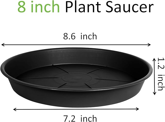 1 Pack of Plant Saucer Tray 8 inch, Heavy Duty Plastic Pot Plant Drip Trays Saucers for for Indoors Outdoor, Plant Water Tray for Planters (8", Black)-VerdiqueGarden