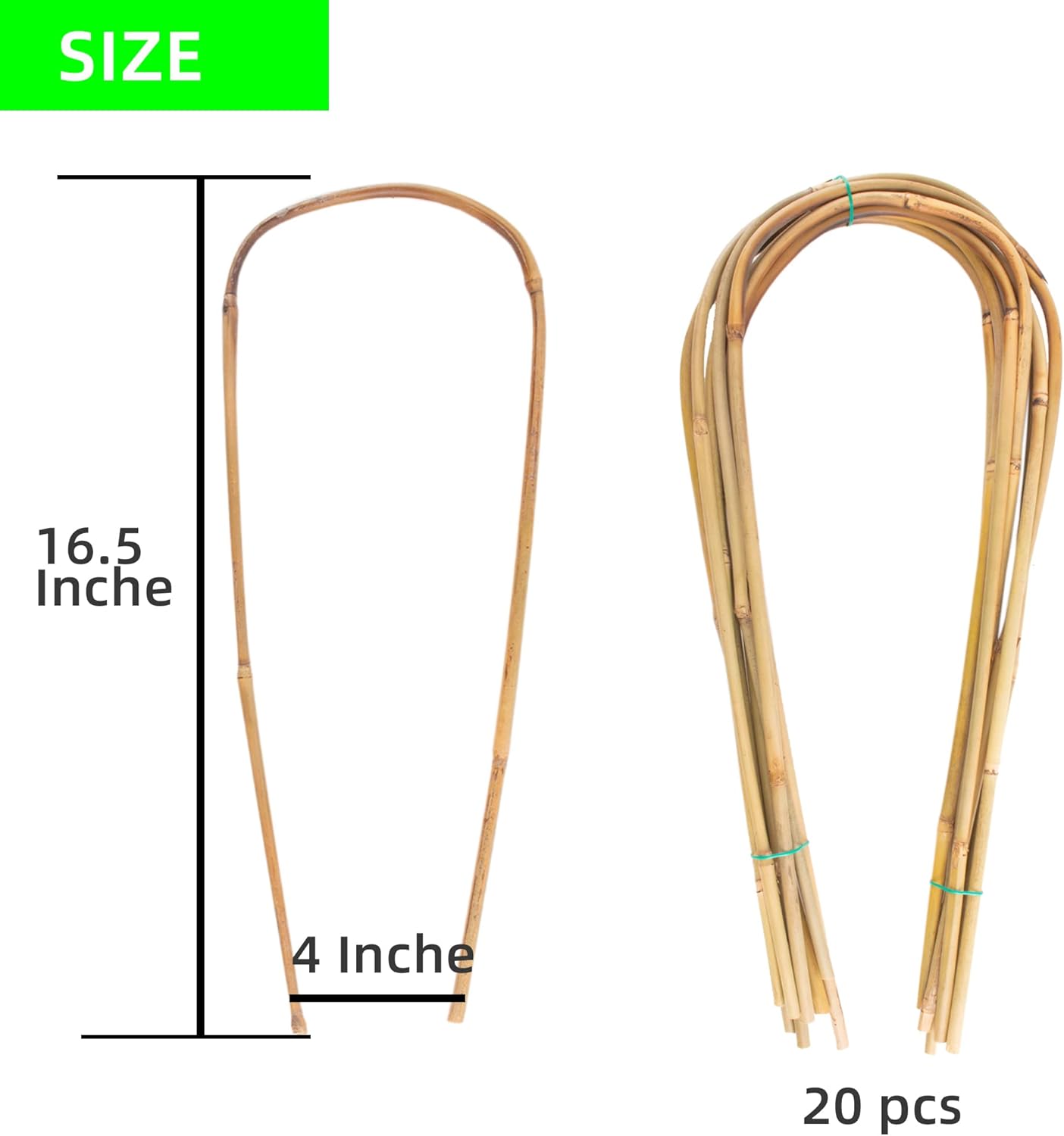 Avalution 16" Natural Bamboo Plants Trellis U-Hoop,Bamboo Gaeden Trellis U-Shape for Climbing Plant Support-20PCS-VerdiqueGarden