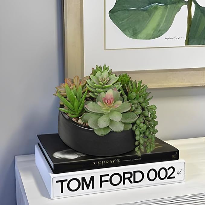 DILATATA Artificial Succulent Plants in Pot 5.5 Inch Fake Succulents Arrangement Potted Plant in Black Ceramic Planter Bowl for Home Office Desk Shelf Living Room Bedroom Bathroom Decor-VerdiqueGarden
