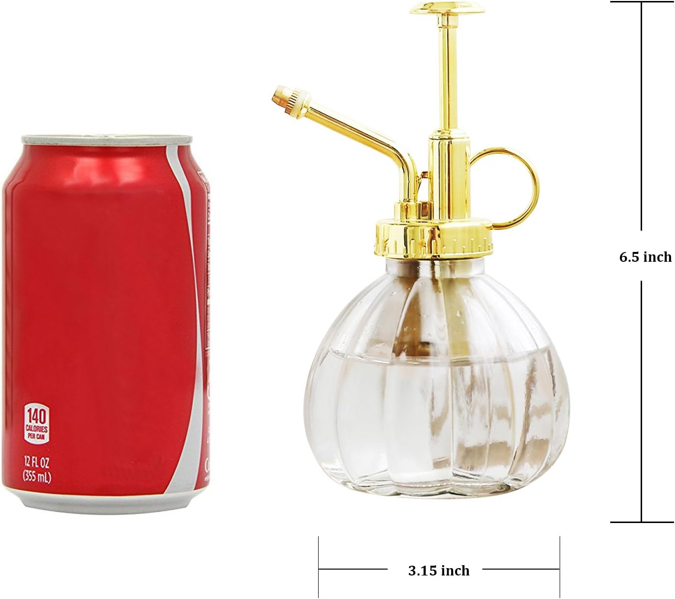 Plant Mister, 6.5" Tall Decorative Glass Water Spray Bottle with Gold Top Pump Small Watering Can by Ebristar - Clear-VerdiqueGarden