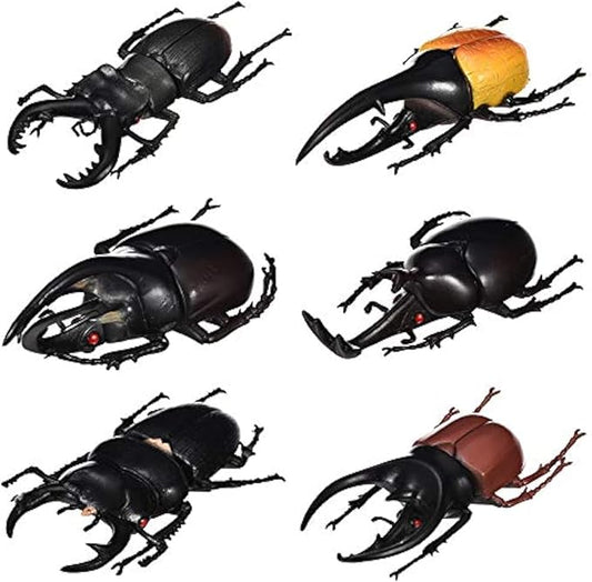Hiawbon 5.5 inch Fake Beetle Simulated Beetle Model Realistic Plastic Beetle Figures for Fairy Garden Decoration, Set of 6-VerdiqueGarden