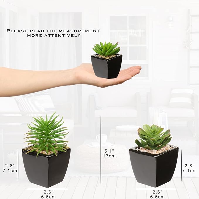 Hollyone Small Succulents Artificial 3 Pcs Faux Succulents in Pots Fake Succulent Plants with Black Ceramic Pots for Modern Home Office Desk Bathroom Shelf Living Room Decor-VerdiqueGarden