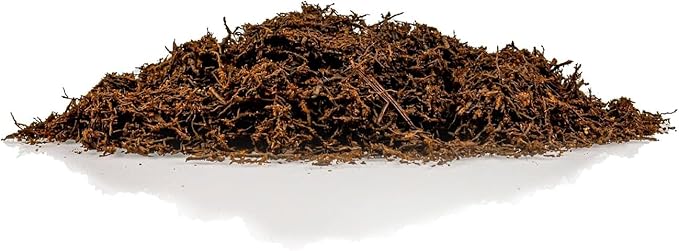 Premium New Zealand Tree Fern by GARDENERA - Orchid and Epiphytal Plants Growing Medium and Reptile Substrate - 2 Quart Bag-VerdiqueGarden