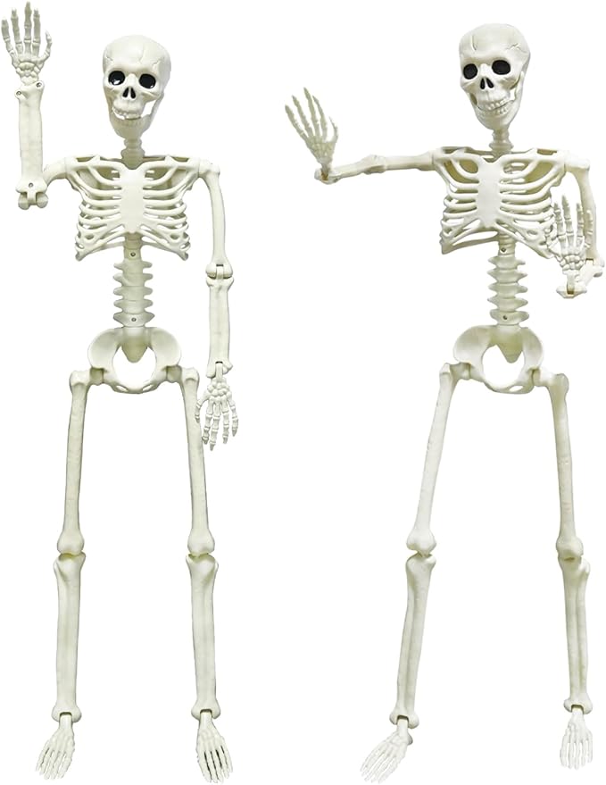 CAMIRUS 2PACK Plastic Posable Halloween Skeleton Decorations, 3FT Poseable Skeleton Full Body with Movable Joints for Halloween Indoor/Outdoor Haunted Houses, Lawn, Graveyard Decor-VerdiqueGarden
