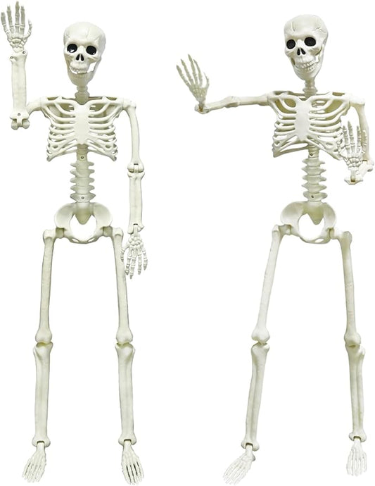 CAMIRUS 2PACK Plastic Posable Halloween Skeleton Decorations, 3FT Poseable Skeleton Full Body with Movable Joints for Halloween Indoor/Outdoor Haunted Houses, Lawn, Graveyard Decor-VerdiqueGarden