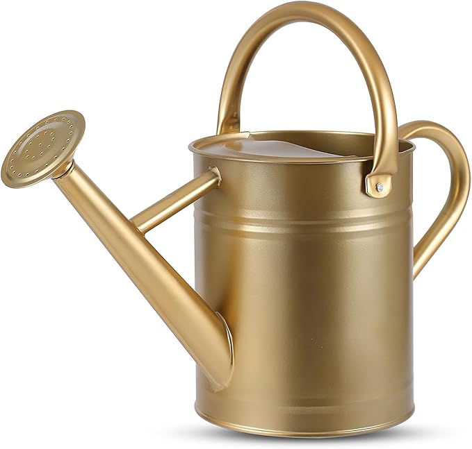 1 Gallon Watering Can for Plants, Watering Cans for Indoor&Outdoor Gardening, Galvanized Steel Watering Pot with Removable Spout, Metal Water Can with Ergonomic Movable Handle(Gold)-VerdiqueGarden