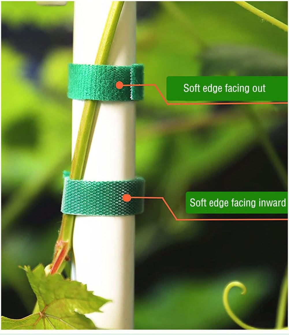 Plant Tape, 32 Ft Green Garden Tape, Twist Ties for Plants 13/16", Plant Supports, Garden Ties for Climbing Plants, Plant Twist Tie for Plant Gardening, Home, Office-VerdiqueGarden