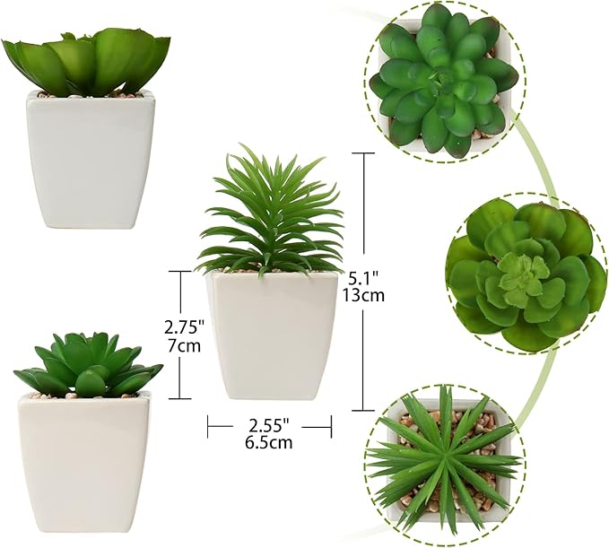 Hollyone Succulents Plants Artificial 3Pcs Small Fake Succulents in Pots Faux Plastic Potted Plants with White Ceramic Pot for Home Decor Classroom Office Bathroom Shelf Indoor & Outdoor Decorations-VerdiqueGarden