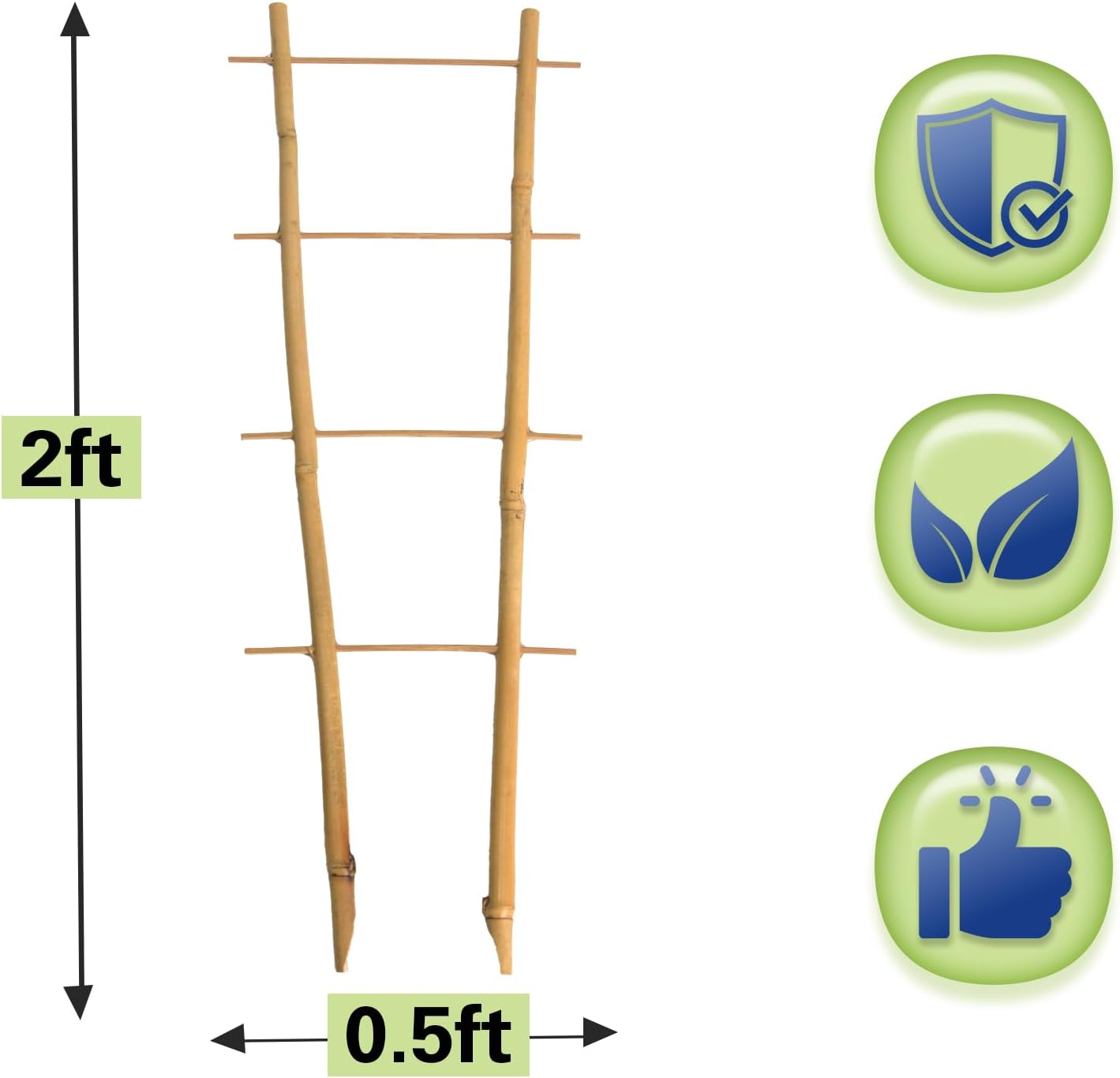 Bamboo Trellis 2FT 3 Pack, S2 Natural Bamboo Plant Ladder Stakes 24 Inch, Fan-Shaped Plant Support Stand for Orchid Vines, Monarchs, Ivy and Other Plants Climbing, Help Plant Growth-VerdiqueGarden