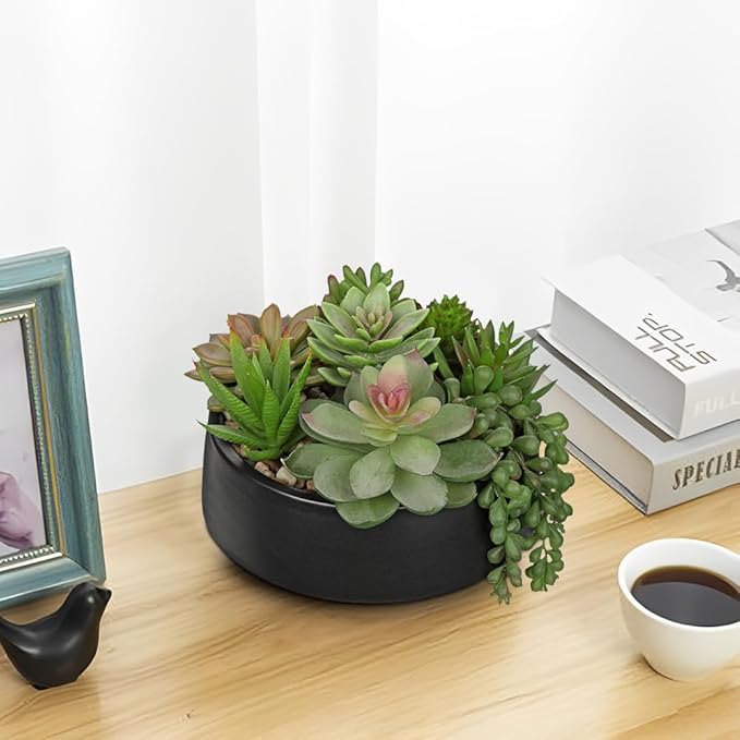 DILATATA Artificial Succulent Plants in Pot 5.5 Inch Fake Succulents Arrangement Potted Plant in Black Ceramic Planter Bowl for Home Office Desk Shelf Living Room Bedroom Bathroom Decor-VerdiqueGarden