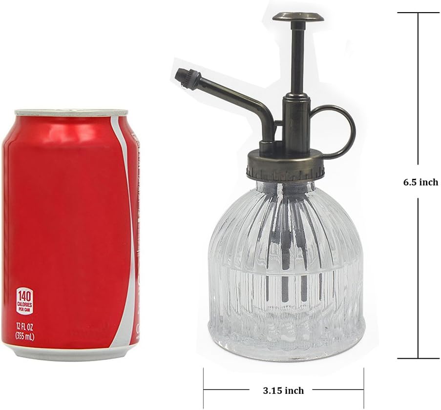 Glass Plant Mister Water Spray Bottle, 200 ML Glass Plant Spritzer Mister Bottle, Vintage Style Glass Succulent Watering Bottle with Top Pump, Plant Sprayer Mister for Indoor Plants - Clear-VerdiqueGarden