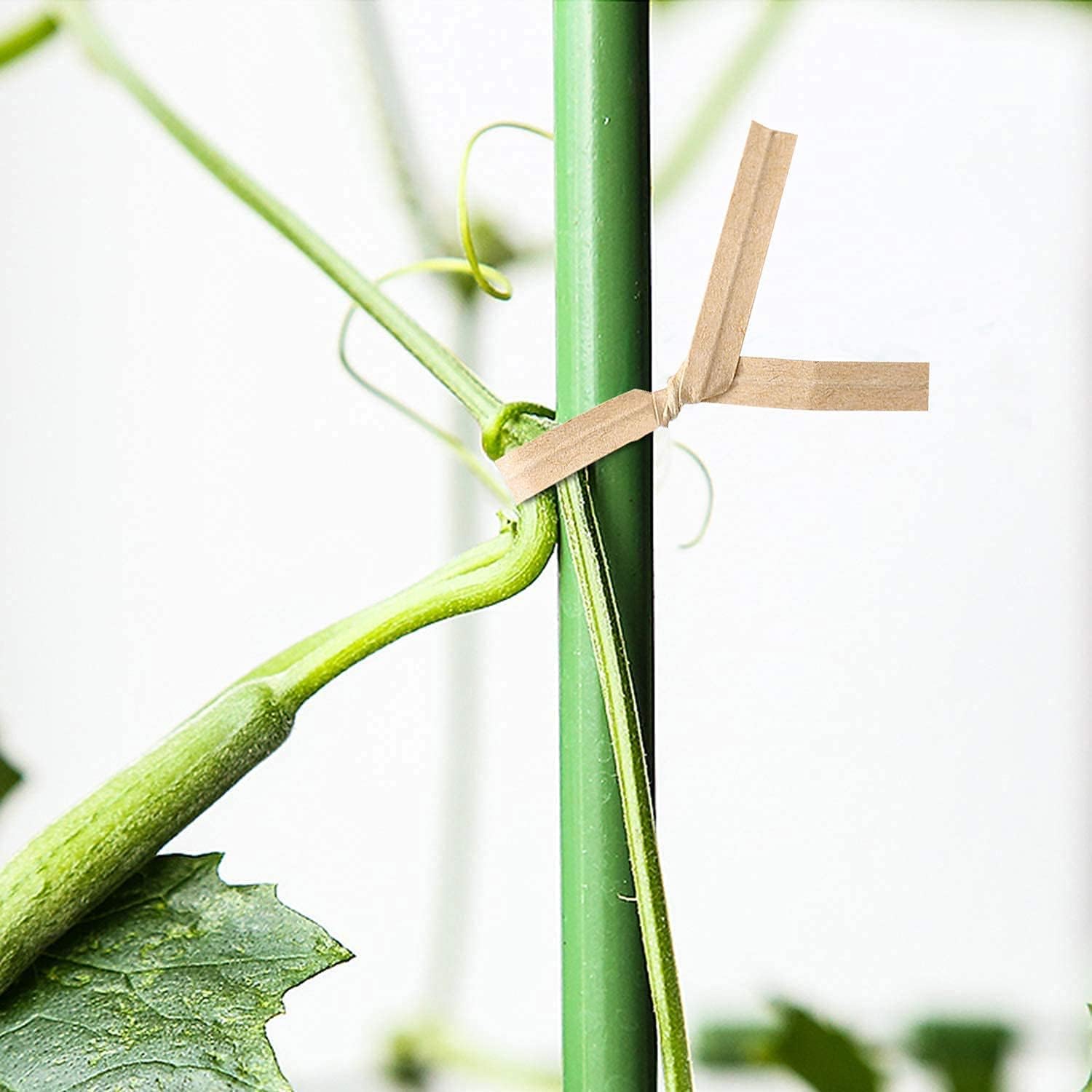 1000 Pcs Twist Ties, Kraft Paper Twist Ties Plant Ties Reusable Bread Ties for Party Cello Candy Coffee Treat Bags Cake Pops (6")-VerdiqueGarden