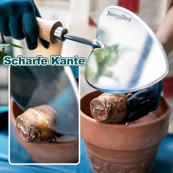 Berry&Bird Perennial Trowel, Oversized Garden Potting Trowel with Sharp Blade Wood Hand Shovel, Stainless Steel Planting Trowel Gardening Tool for Roots,Planting,Digging,Transplanting and Cutting-VerdiqueGarden