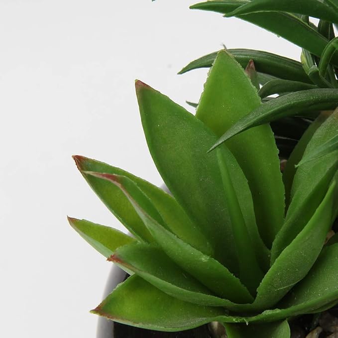 Hollyone Large Artificial Succulents Plants Faux Succulents in Pots Fake Succulent Potted Plants with Black Ceramic Pot for Home Decor Office Desk Bathroom Living Room Indoor & Outdoor Decorations-VerdiqueGarden