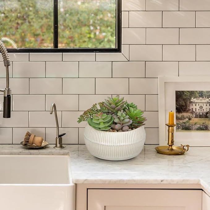 DILATATA Artificial Succulent Plants in Pot 5.5 Inch Fake Succulents Arrangement Potted Plant in White Ceramic Planter Bowl for Home Office Desk Shelf Living Room Bedroom Bathroom Decor-VerdiqueGarden