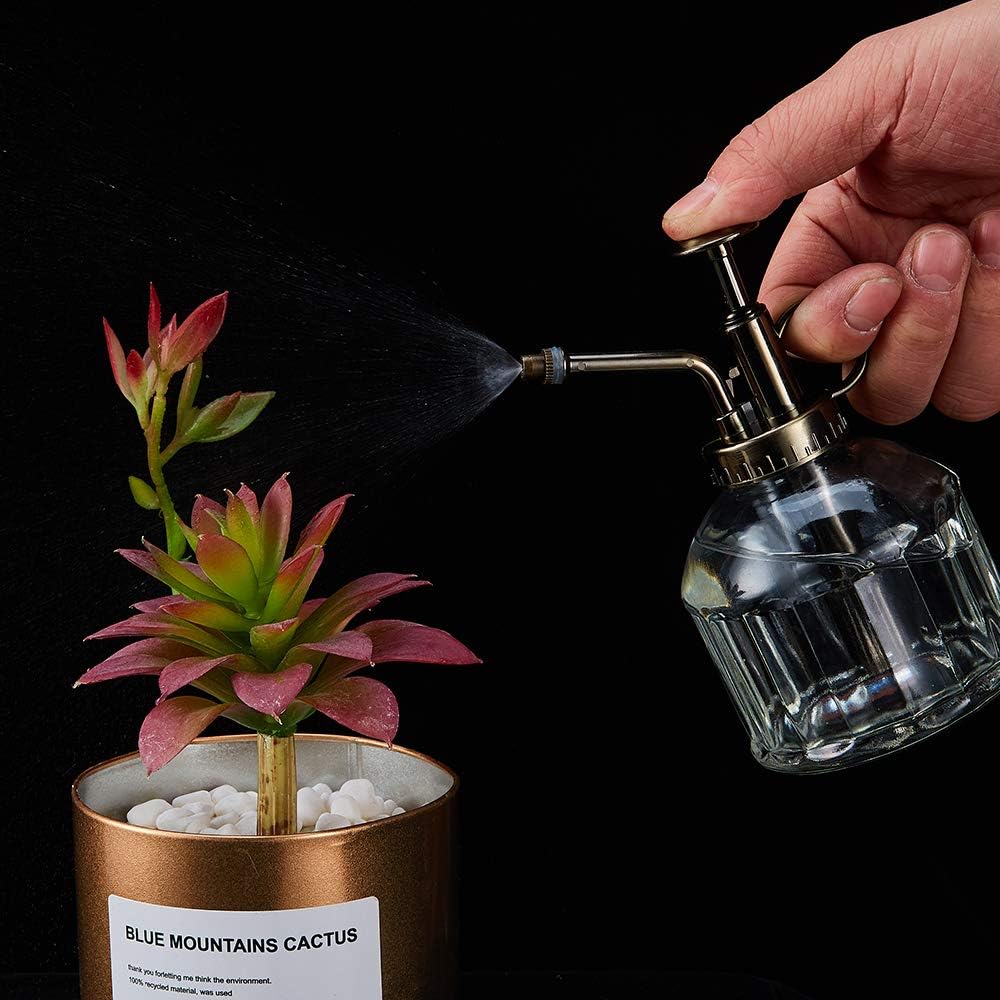Glass Plant Mister Spray Bottle, 6.5" Tall Vintage Plant Water Spritzer Sprayer, Succulent Watering Bottle with Top Pump, Small Glass Watering Can for Indoor Outdoor Houseplant - Clear-VerdiqueGarden