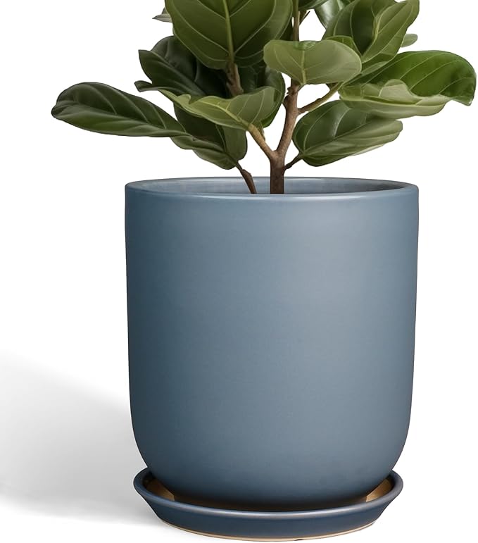 10 Inch Plant Pot - Ceramic Pot for Indoor Plants Outdoor Planter Large Flower Pot with Drainage Hole and Saucer Cylinder Gray-VerdiqueGarden