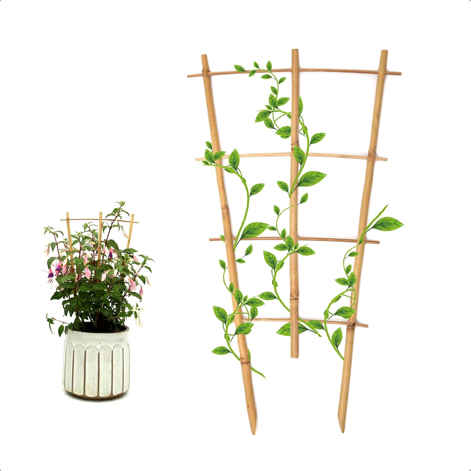3Pack Bamboo Trellis 16 Inch Fan Shaped Small Plant Trellis for Indoor Potted Plants Climbing Monstera Orchid Vine Hoya Houseplant-VerdiqueGarden