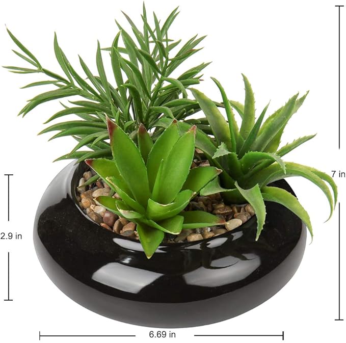 Hollyone Large Artificial Succulents Plants Faux Succulents in Pots Fake Succulent Potted Plants with Black Ceramic Pot for Home Decor Office Desk Bathroom Living Room Indoor & Outdoor Decorations-VerdiqueGarden