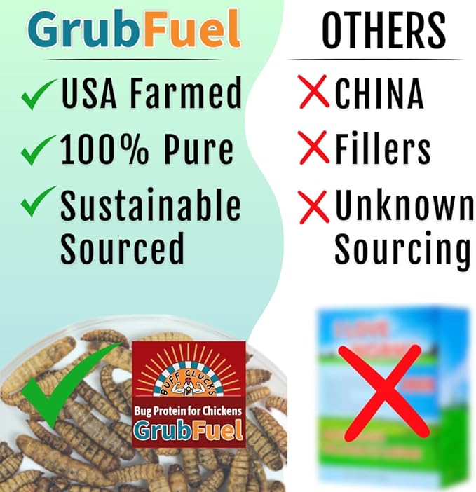 Grub Fuel Black Soldier Fly Larvae for Chickens - Nutrient-Packed BSFL, Sustainably Sourced Snack for Poultry, Rich in Protein, Calcium, Fiber, Essential Fatty Acids, USA Grown (1LB)-VerdiqueGarden