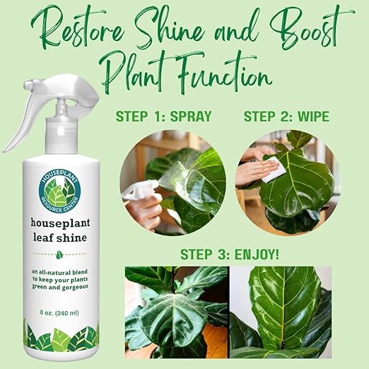 Houseplant Leaf Shine Spray – All-Natural Leaf Cleaner and Gloss for Healthy Shine & Better Photosynthesis | Perfect for House Plants and Foliage | 8 oz-VerdiqueGarden
