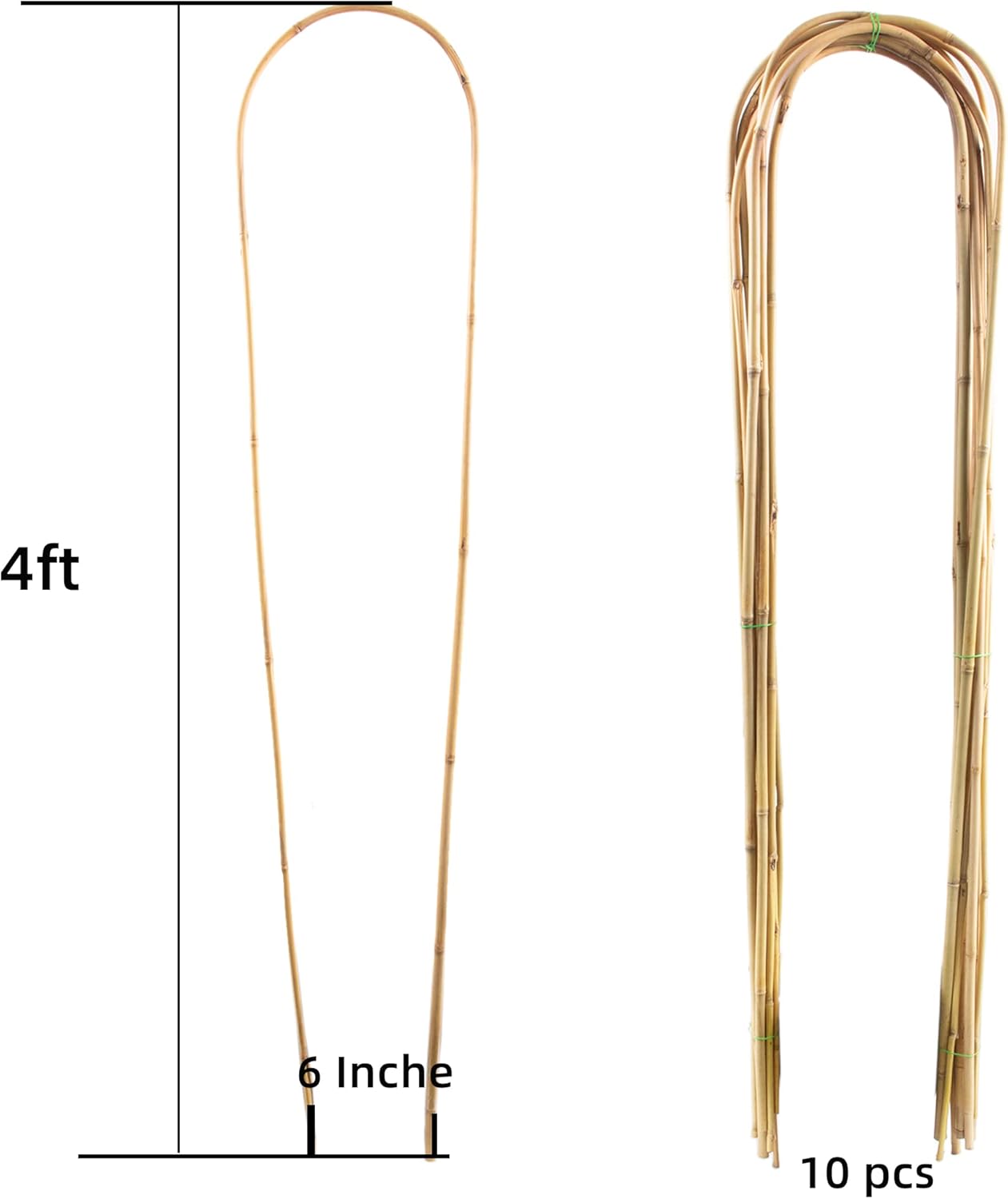 Avalution 10 Pcs Natural U-Hoops Bamboo Garden Trellis, 4 Ft Bamboo Trellis U-Shape Plant Support for Climbing Plants Indoor and Outdoor Use-VerdiqueGarden