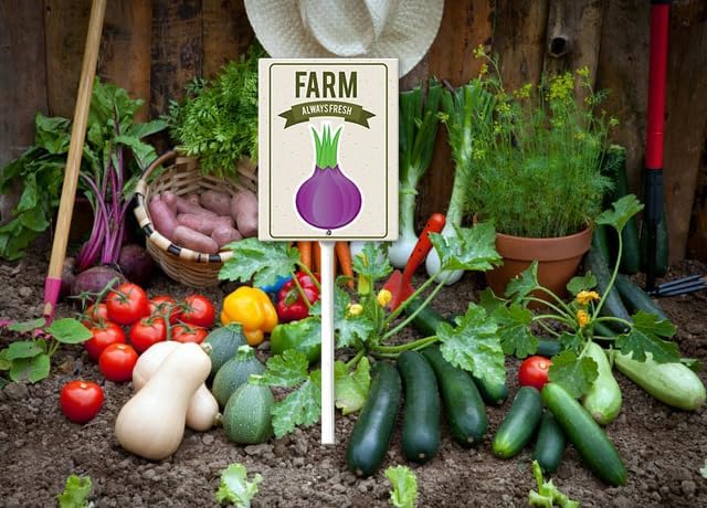 Eveokoki Aluminum Seed & Plant Labels - Plant Markes for Seedlings-Plant Tags for Pots - Garden Signs for Vegetable - Durable Markers for Plants Outdoor Waterproof - Garden Decor for Farmhouse-VerdiqueGarden