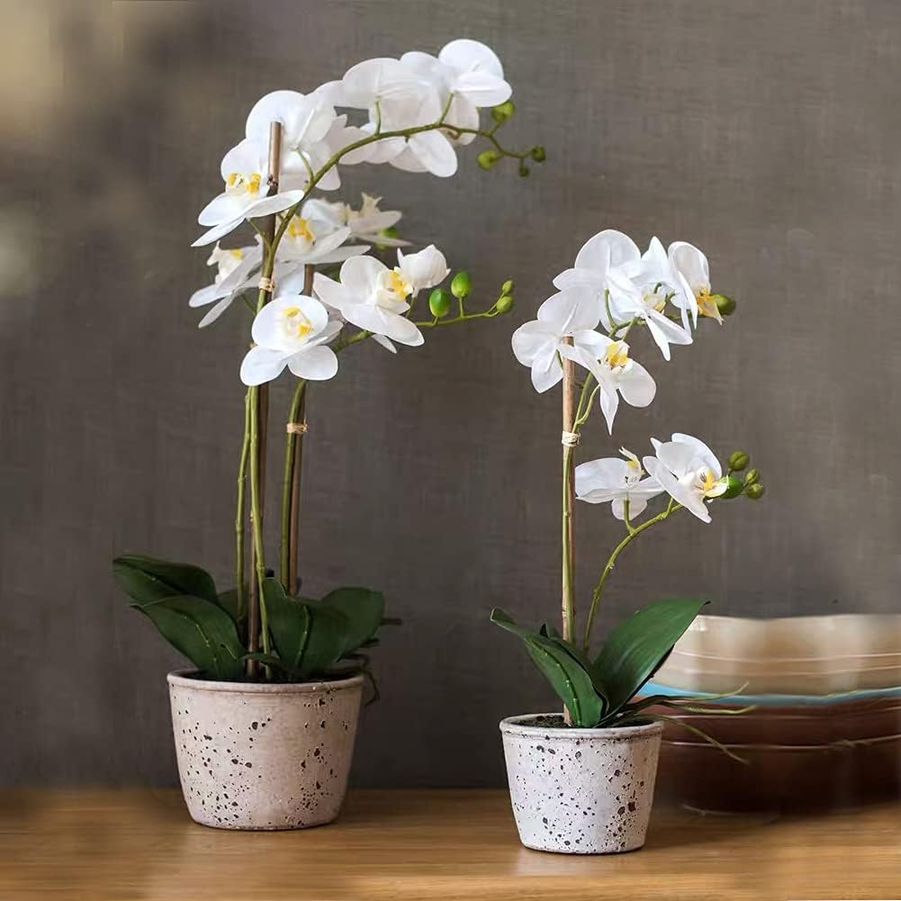 40pcs Natural Bamboo Sticks for Indoor and Outdoor Plants, 16 Inch Plant Support Stakes for Tomato, Beans, Potted Plants and Vegetable-VerdiqueGarden