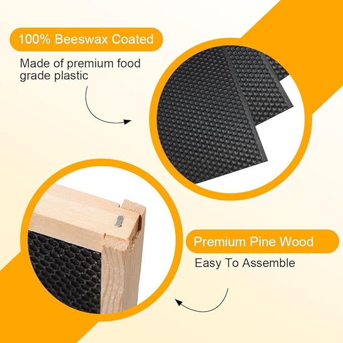 POLLIBEE 10 Frame Bee Hive,Beeswax Coated Beehive Kit for Bee Keeper,Complete Beehive Include 1 Deep Brood Bee Box and 1 Medium Bee Hive Box with Frame and Foundation-VerdiqueGarden