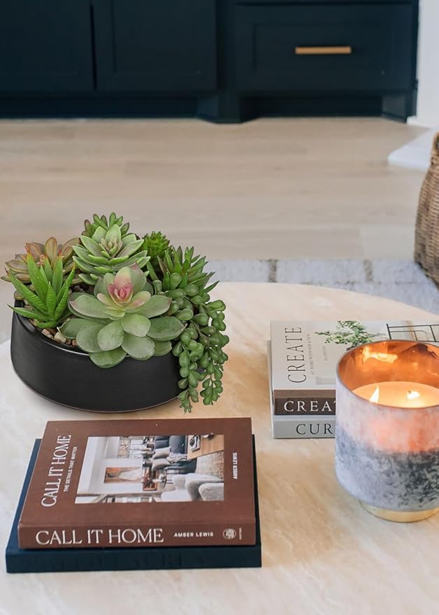 DILATATA Artificial Succulent Plants in Pot 5.5 Inch Fake Succulents Arrangement Potted Plant in Black Ceramic Planter Bowl for Home Office Desk Shelf Living Room Bedroom Bathroom Decor-VerdiqueGarden