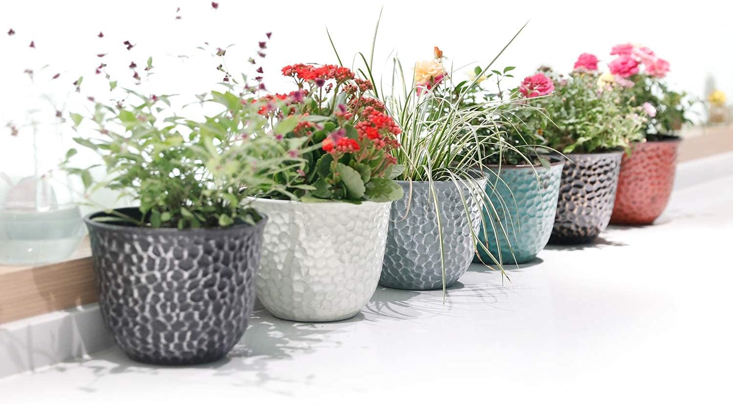 Worth Garden Plastic Round 8 Inch Planters for Indoor Plants Set of 6 Outdoor Resin Flower Pots Colorful with Drainage Hole Rubber Plug Retro Appearance Home Christmas Decorative Containers Multicolor-VerdiqueGarden