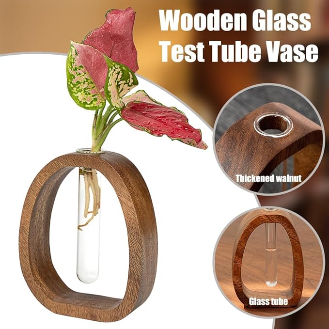 Solid Wood Frame Glass Test Tube Vase Desk Hydroponic Plant, Enhances Home and Office Environment, Small Size (Small)-VerdiqueGarden