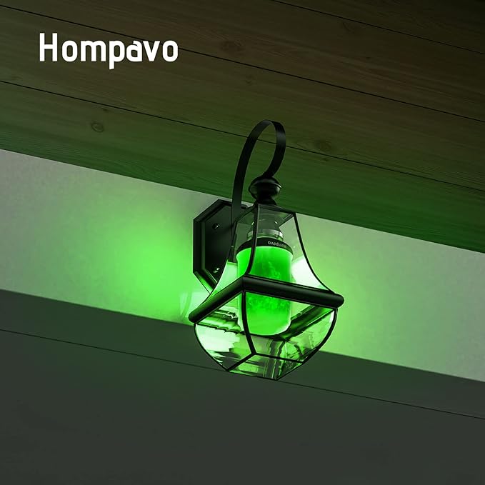 Hompavo 【Upgraded】 LED Flame Light Bulbs, Green Flickering Light Bulbs with Upside Down Effect, E26 Flame Bulb for Home Halloween St. Patrick's Day Christmas Decorations Indoor & Outdoor, 2 Pack-VerdiqueGarden