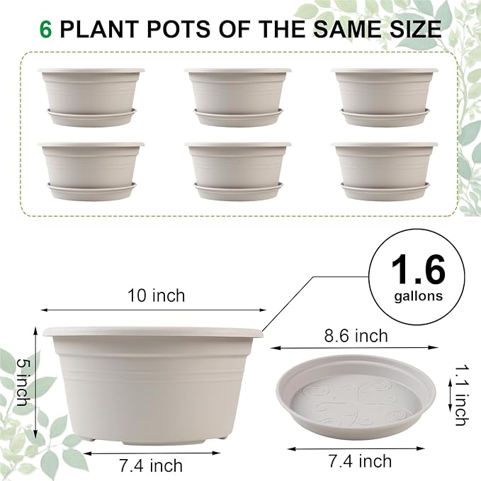 6 Pack 10 inch Plant Pot, Outdoor Pots for Plants with Drainage Hole & Tray Saucer, Round Plastic Plant Pot, Decoration Flower Pots for Indoor Plants Home Garden Outdoor Planters (White)-VerdiqueGarden