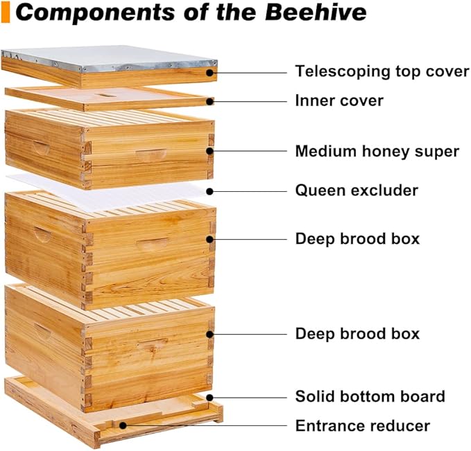 POLLIBEE 10 Frame Langstroth Beehive, Beeswax Coated Bee Hives for Bee Keeper,Beehive Include 2 Deep Bee Boxes and 1 Medium Bee Hive Box with Frame and Foundation(Unassembled)-VerdiqueGarden