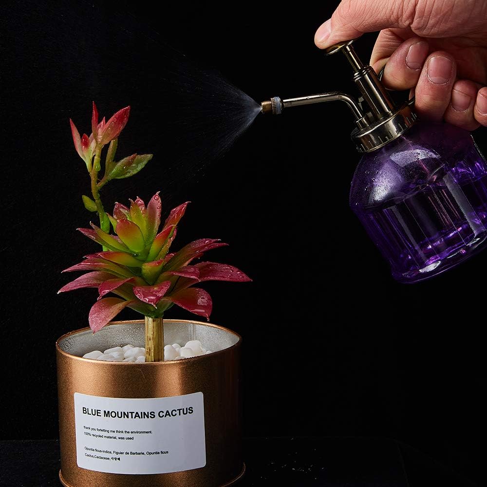 Glass Plant Mister Spray Bottle, Vintage Plant Spritzer Sprayer Mister, Succulent Watering Bottle with Top Pump, Small Glass Watering Can for Indoor Outdoor Houseplant - Purple-VerdiqueGarden